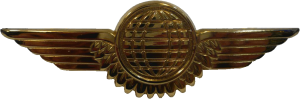 Нагрудный знак Член экипажа 1 класса 