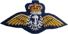 Знак Пилот