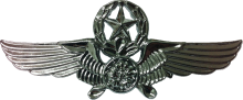 Знак Мастер пилот