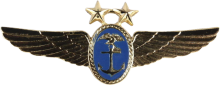 Знак Master pilot