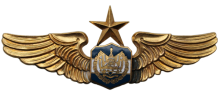 Знак Старший пилот