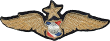 Знак Старший пилот