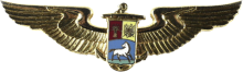 Знак Пилот
