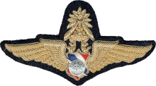 Знак Мастер пилот