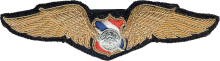 Знак Пилот
