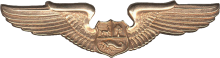 Знак Pilot