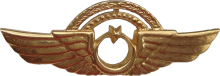 Знак Pilot, 1000 hours.