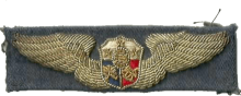 Знак Пилот