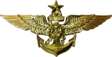 Знак Senior pilot