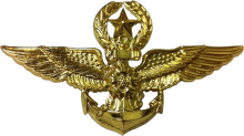 Знак Master pilot