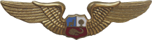 Знак Pilot