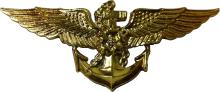 Знак Pilot
