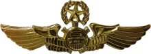 Знак Master mechanic