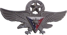 Знак Master pilot