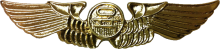 Знак Пилот