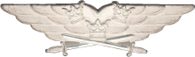 Знак Пилот
