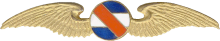 Знак Пилот