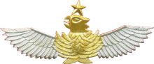 Знак Senior pilot