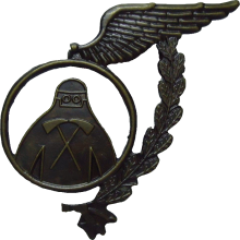 Знак Fireman, cadet