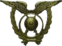 Знак Воздушная Полиция