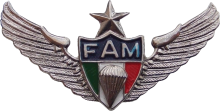 Знак Старший парашютист