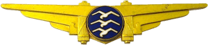 Badge Glider pilot category 