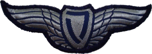Badge Light aircraft pilot 