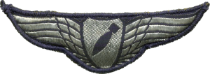 Badge Bombardier 