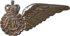 Badge Air Warfare Officer 