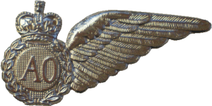 Badge Air Ordnanceman 