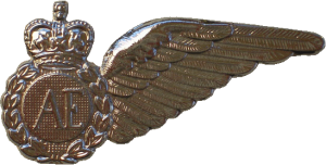 Badge Air Electronics Officer/Operator 
