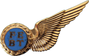 Badge Flight Engineer 