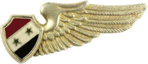 Badge Aircrew man 