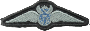 Badge Pilot, silver 
