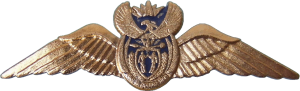 Badge Pilot, gold 