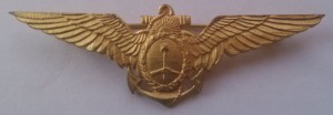 Badge Navy pilot 
