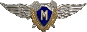 Badge Technician Master 