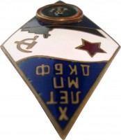 Нагрудный знак 10 лет 336го полка морской пехоты ДКБФ 