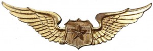 Badge Army pilot 