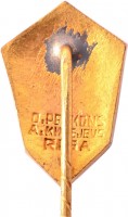Нагрудный знак Летняя Рабочая Олимпиада 1931 в Вене, Организатор - Социалистический Рабочий Спортивный Интернационал 