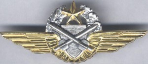 Badge Pilot observer 