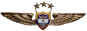 Badge Pilot 
