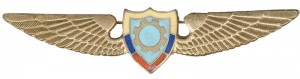 Badge Technican 
