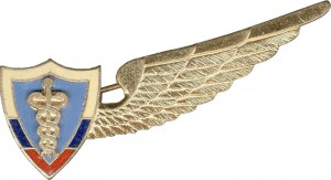 Нагрудный знак Медицинская служба ВВС  