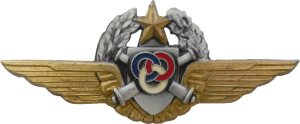 Badge Pilot observer (instructor) 