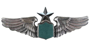 Badge Senior pilot 