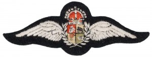 Badge Pilot 