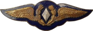 Badge Administrative service 