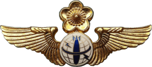 Badge Navigator-bombardier 