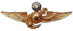 Badge Marine pilot  